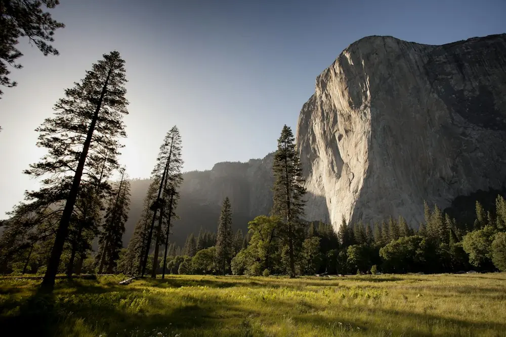 El Capitan in Yosemite National Park met dennenbomen