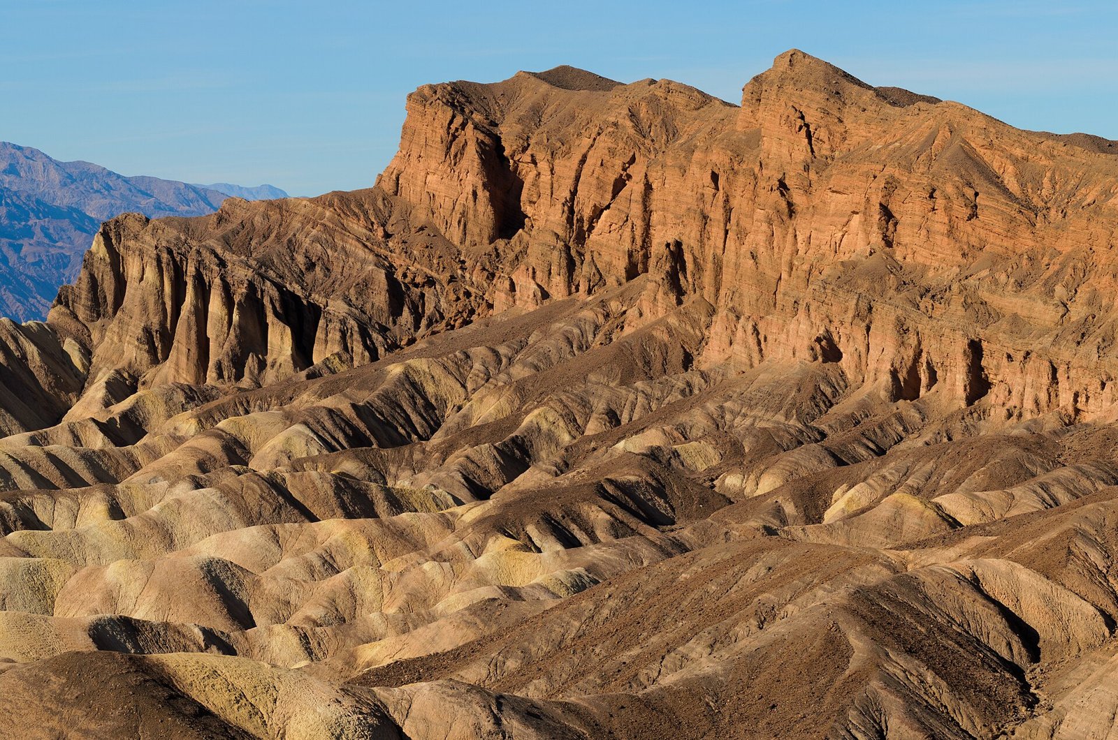 Gele en bruine heuvels bij Zabriskie Point in Death Valley
