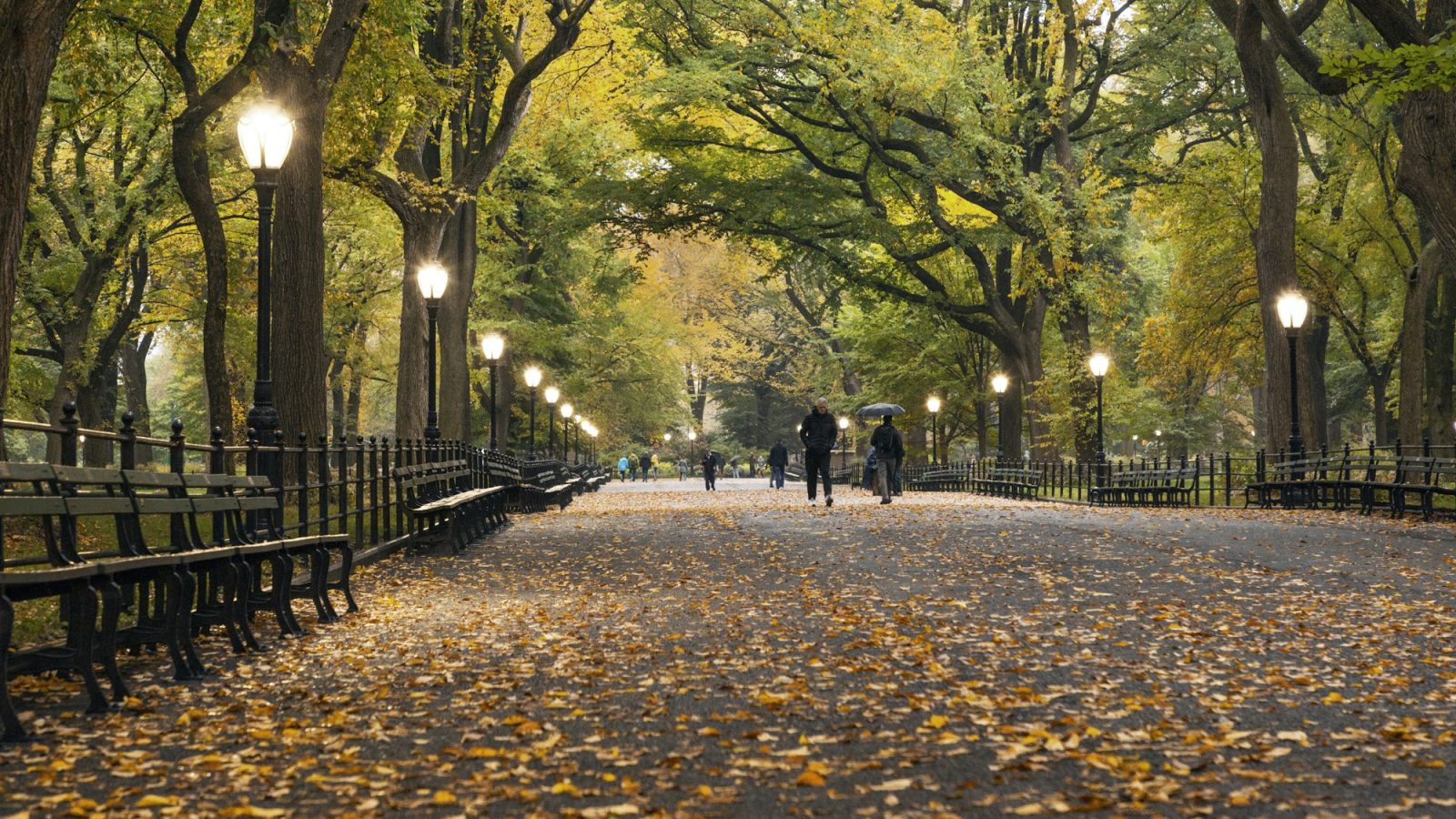 Laan in Central Park met herfstbladeren en lantaarnpalen
